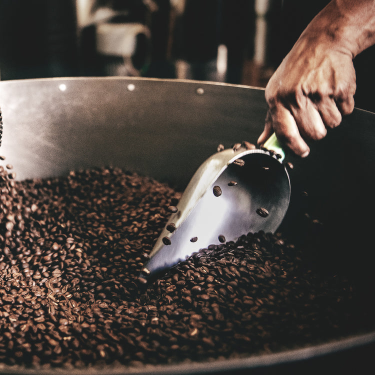 Shop Roaster's Essentials