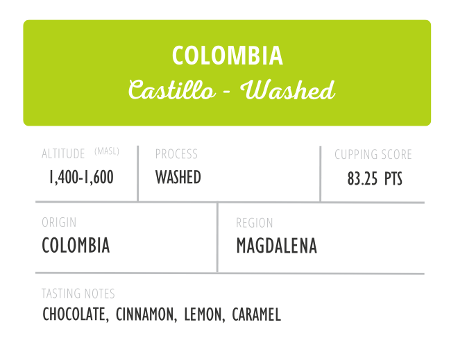 Colombia Castillo Washed