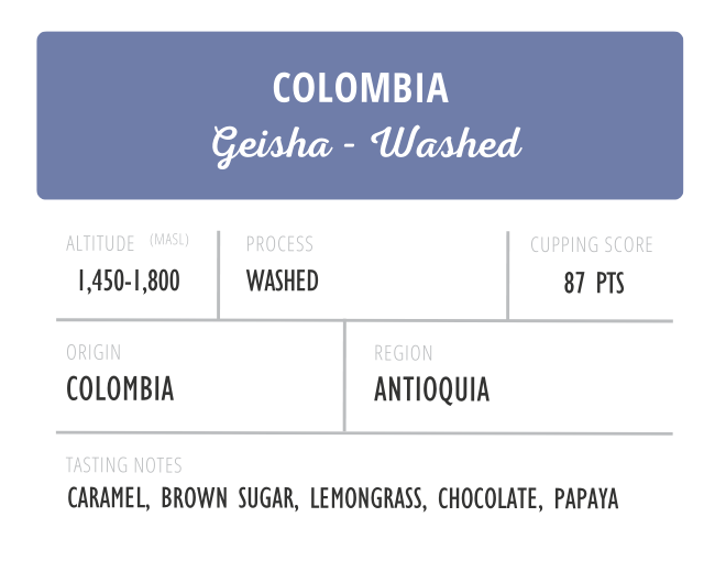 Colombia Gesha Washed