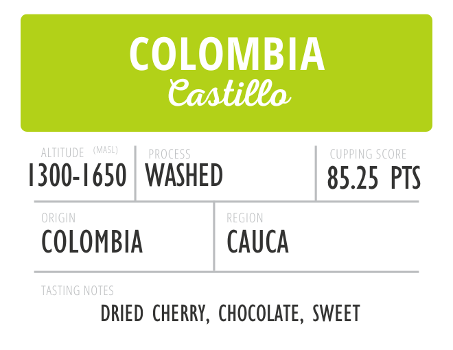 Colombia Castillo Washed