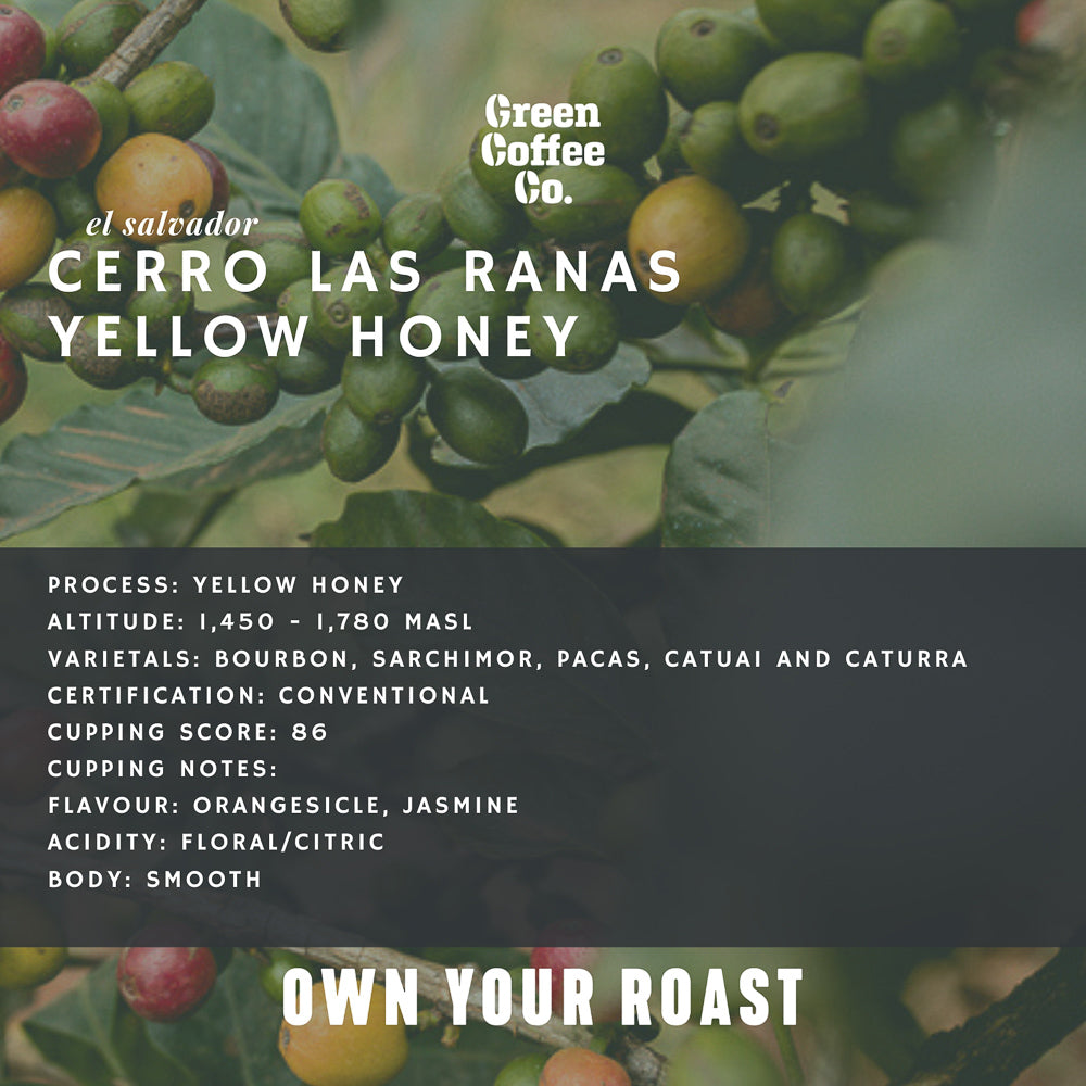 El Salvador Cerro Las Ranas Yellow Honey