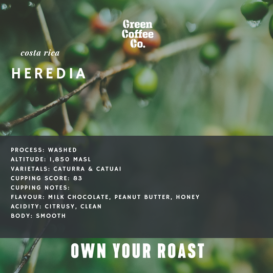 Costa Rica Heredia Washed