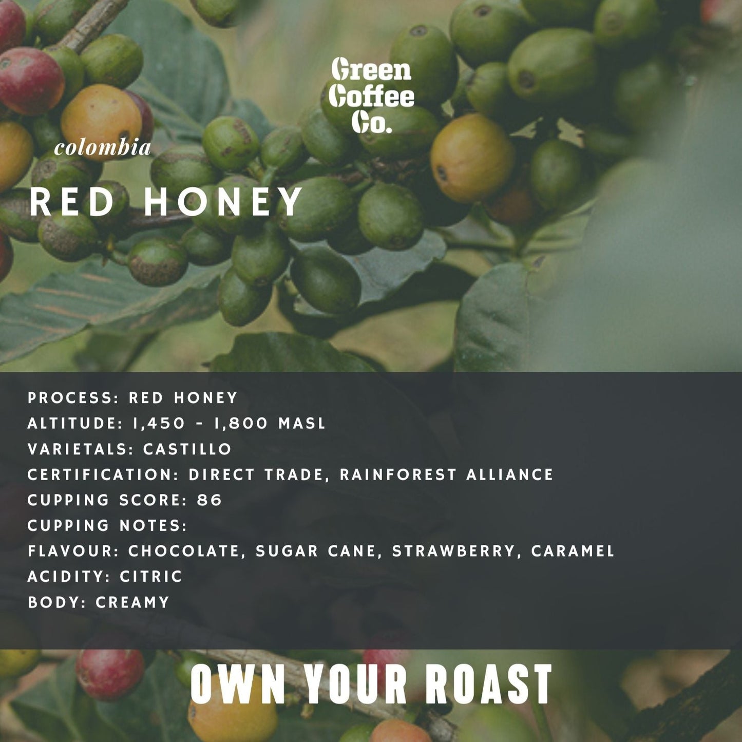 Colombia Red Honey
