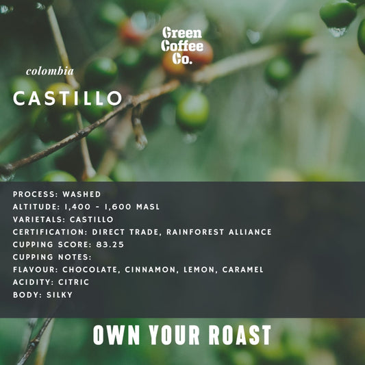 Colombia Castillo Washed