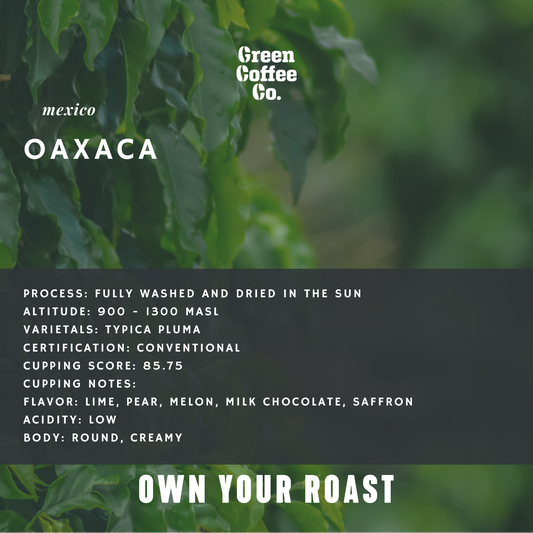 Mexico Oaxaca Washed