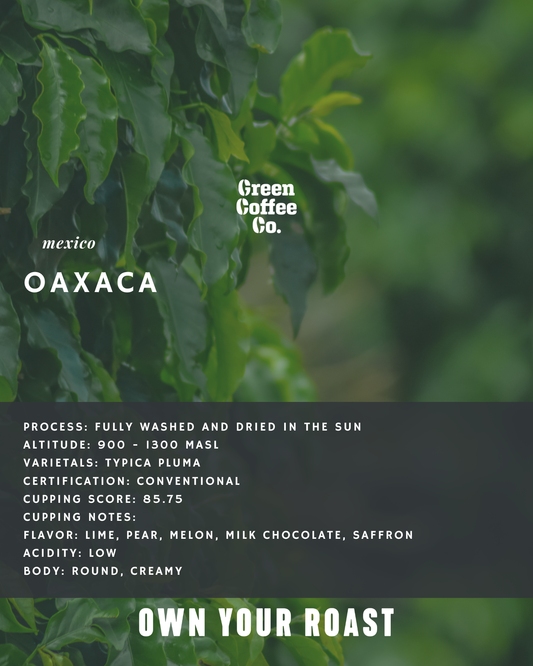 Mexico Oaxaca Washed