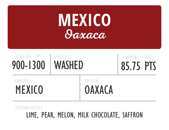 Mexico Oaxaca Washed