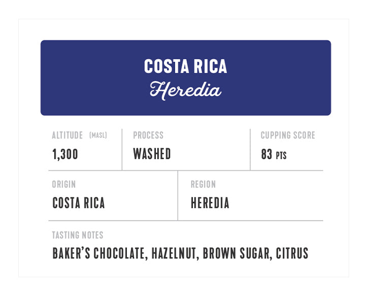 Costa Rica Heredia Washed