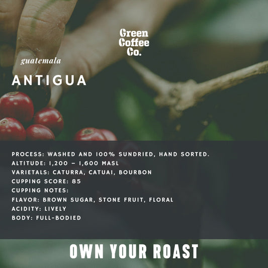 Guatemala Antigua Washed