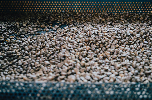 Single Origin & Single Estate