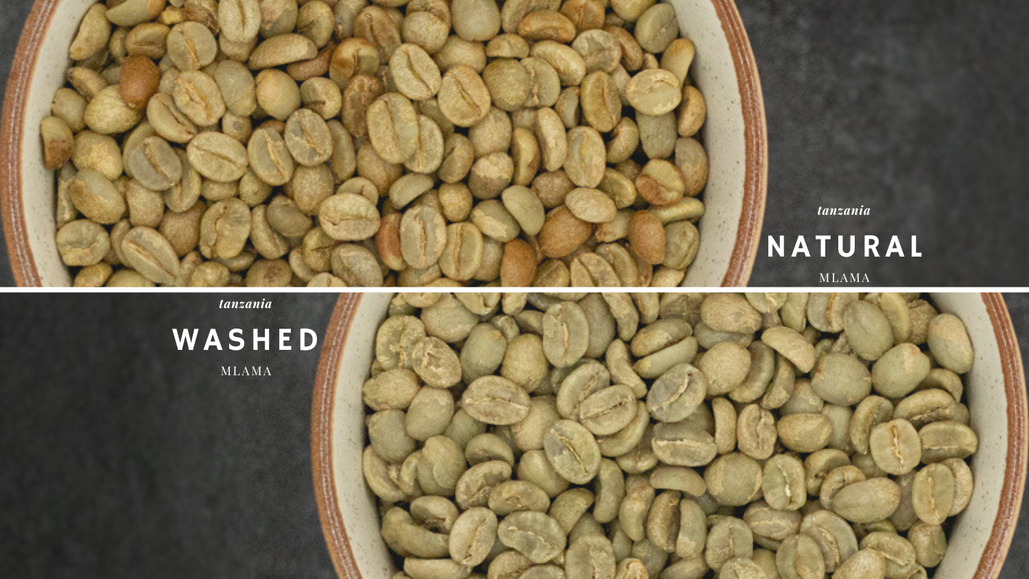 Washed (Wet) vs Natural (Dry) – Green Coffee Co.