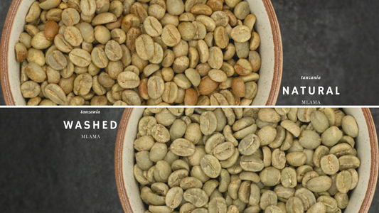 Washed (Wet) vs Natural (Dry)