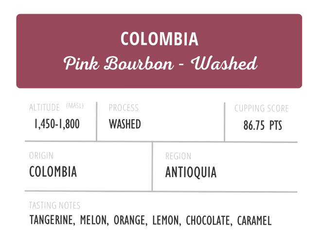 Colombia Pink Bourbon Washed