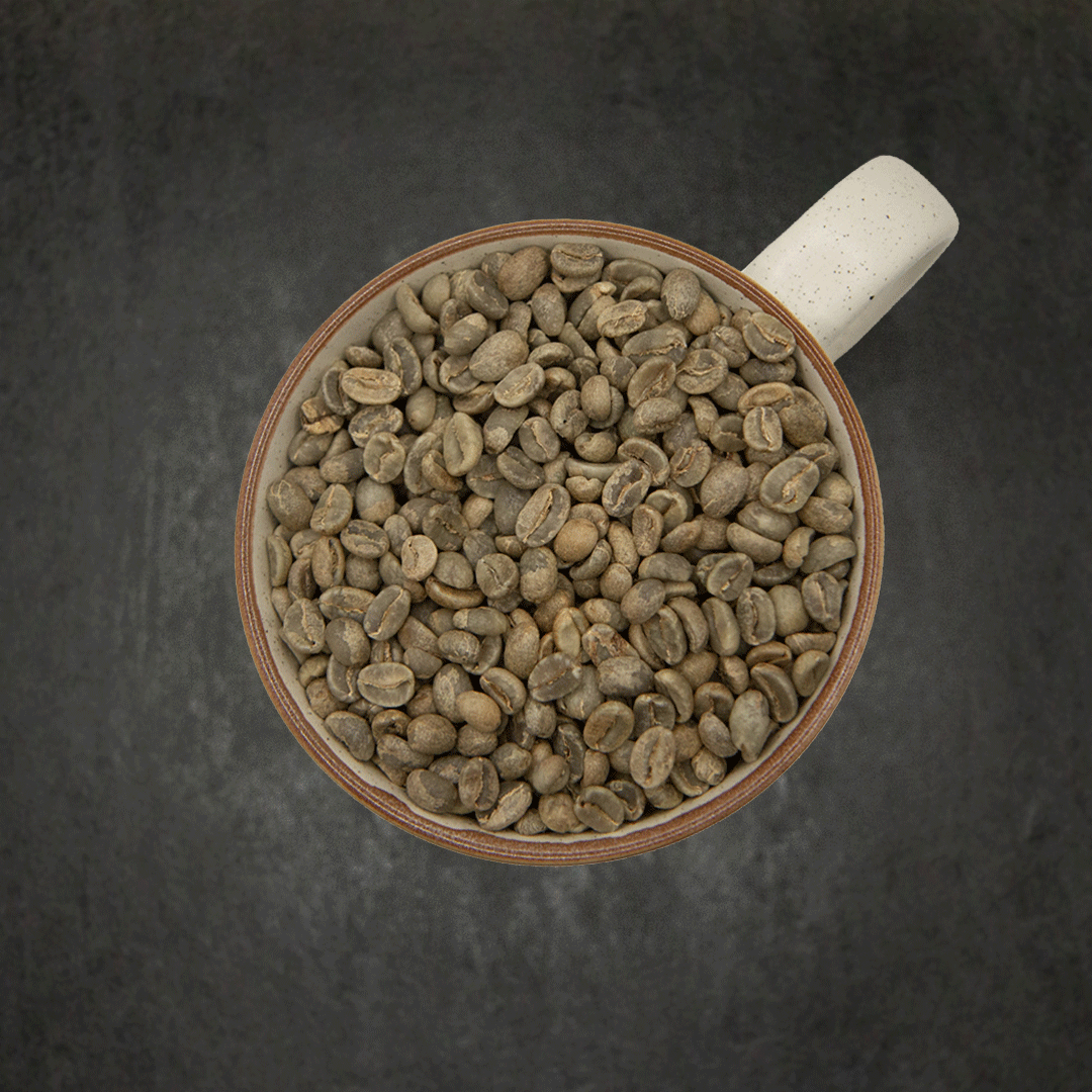 Colombia Castillo Washed