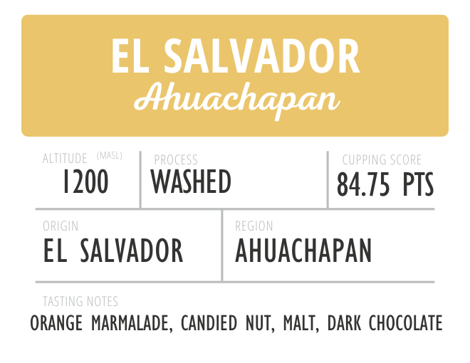 El Salvador Ahuachapan Washed