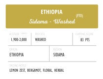 Ethiopia Sidama FTO Washed