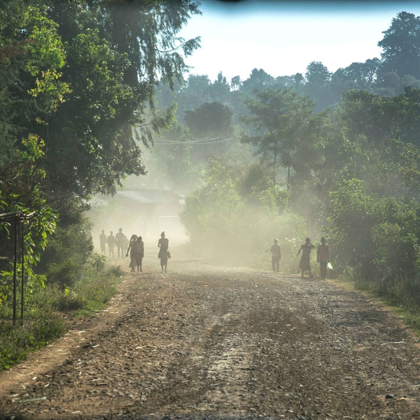 Ethiopia Yirgacheffe Organic Natural