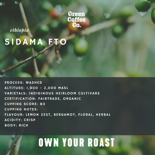 Ethiopia Sidama FTO Washed