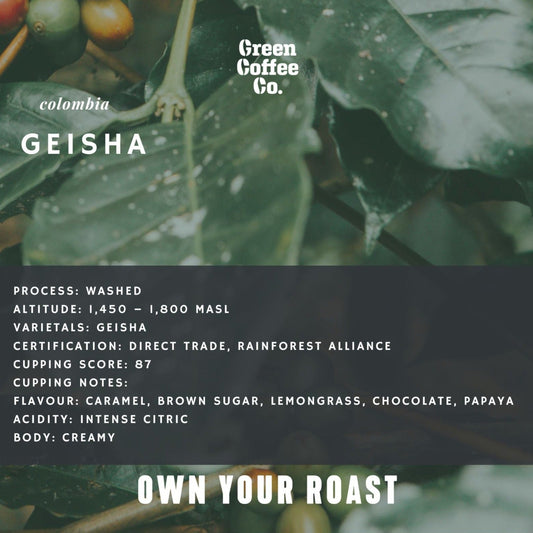 Colombia Geisha Washed