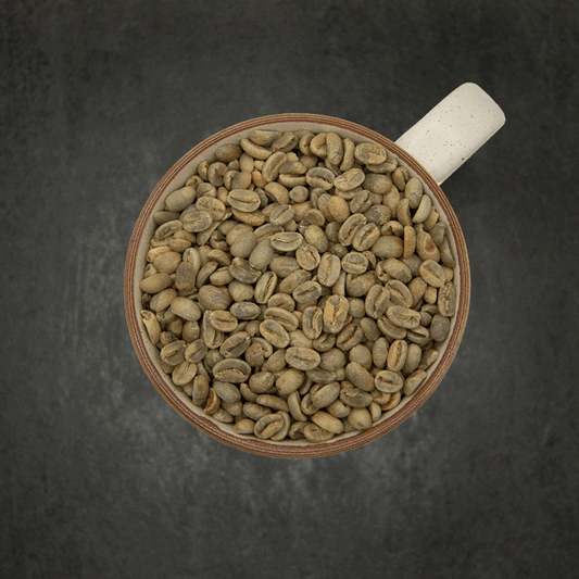 Colombia Geisha Washed