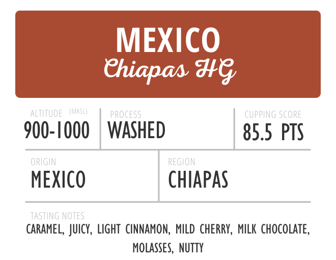 Mexico Chiapas HG Washed
