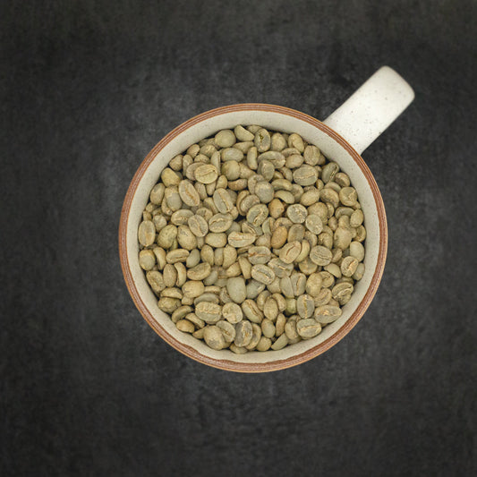 Nicaragua Jinotega Organic