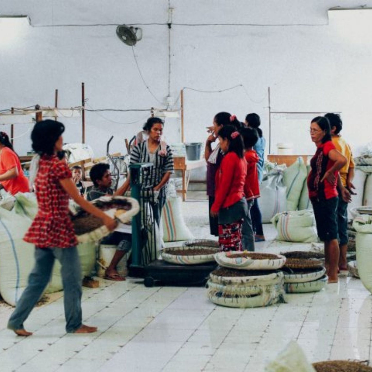 Sumatra Takengon Mandheling Wet-Hulled