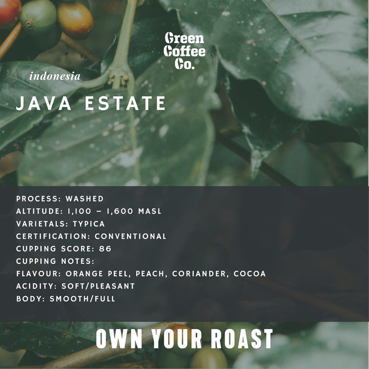 Green Coffee Co | Own Your Roast – Green Coffee Co.