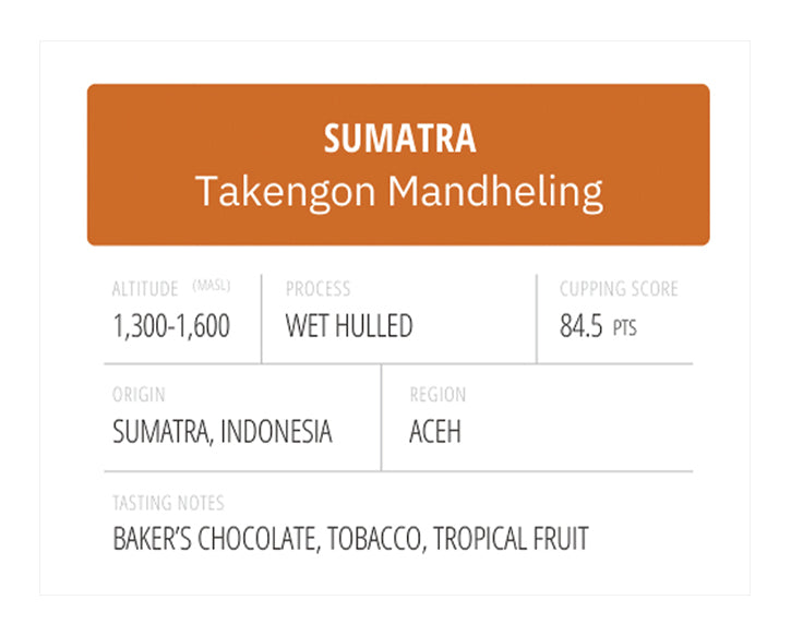 Sumatra Takengon Mandheling Wet-Hulled