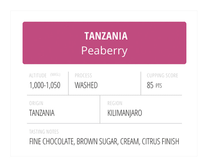 Tanzania Peaberry
