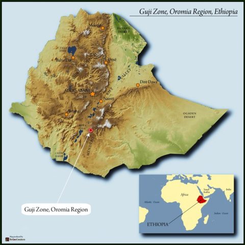 Ethiopia Guji Decaf Natural