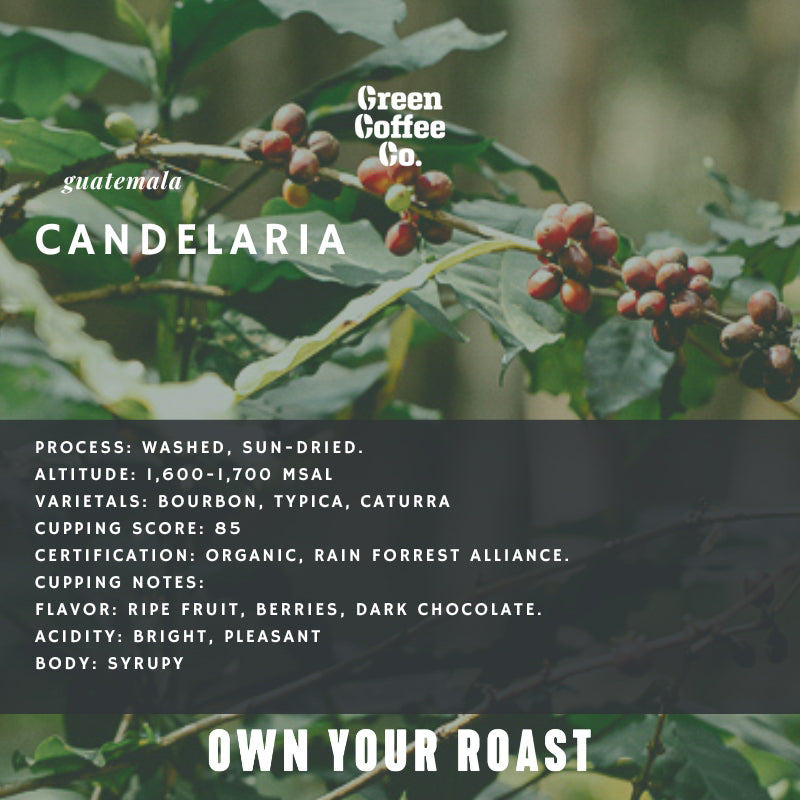 Guatemala Candelaria Organic Washed