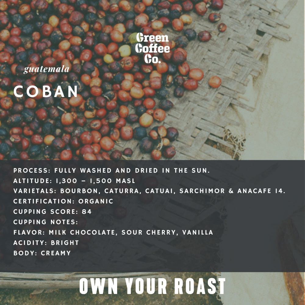 Guatemala Coban Organic Washed