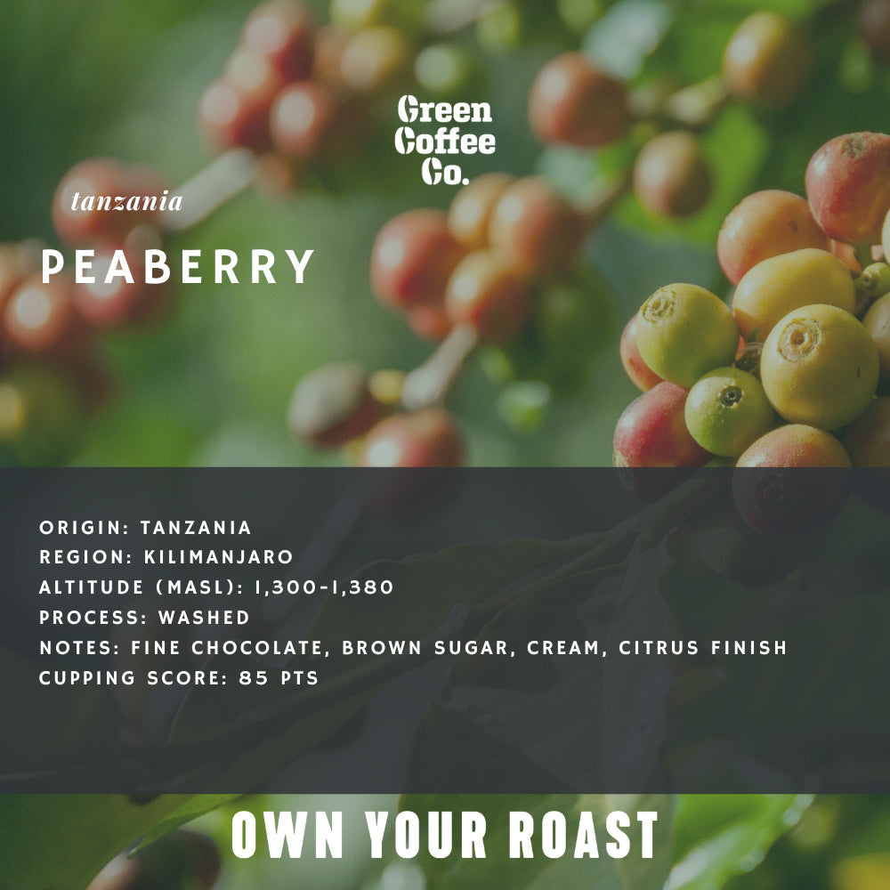 Tanzania Peaberry